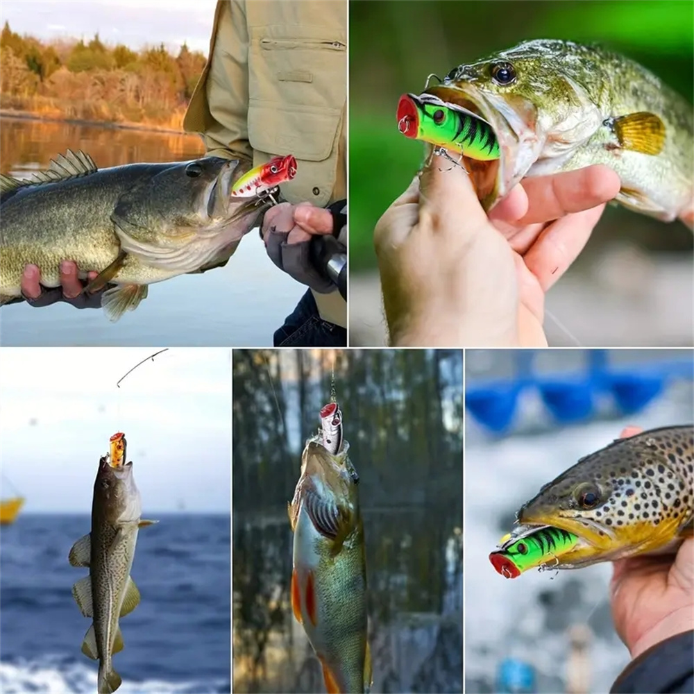 5Pcs Popper Fishing Lures 3d E - Fishing Lure Crankbait review and price