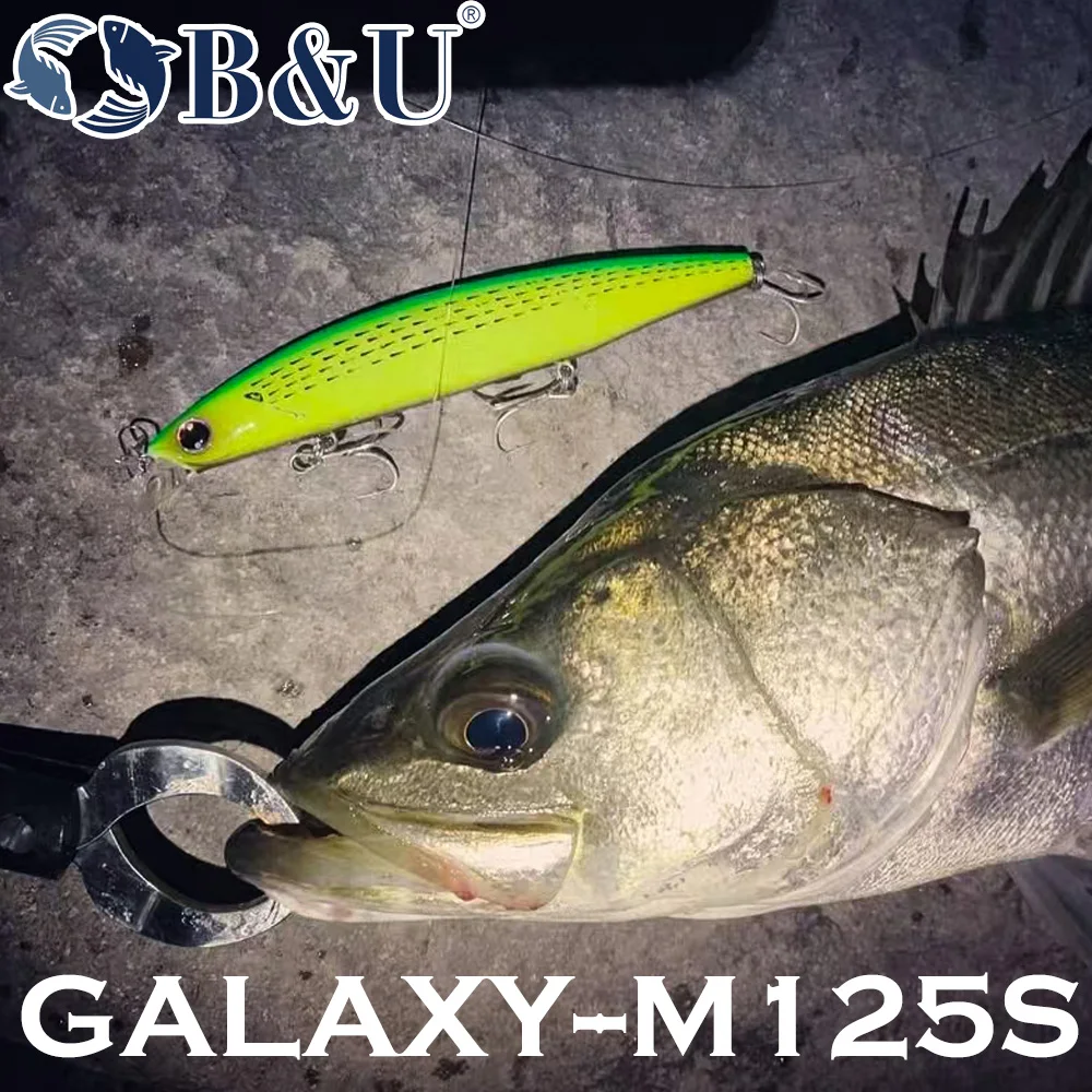 B&U 125mm Sinking Minnow Sea F - Fishing Lure Jerkbait review and price